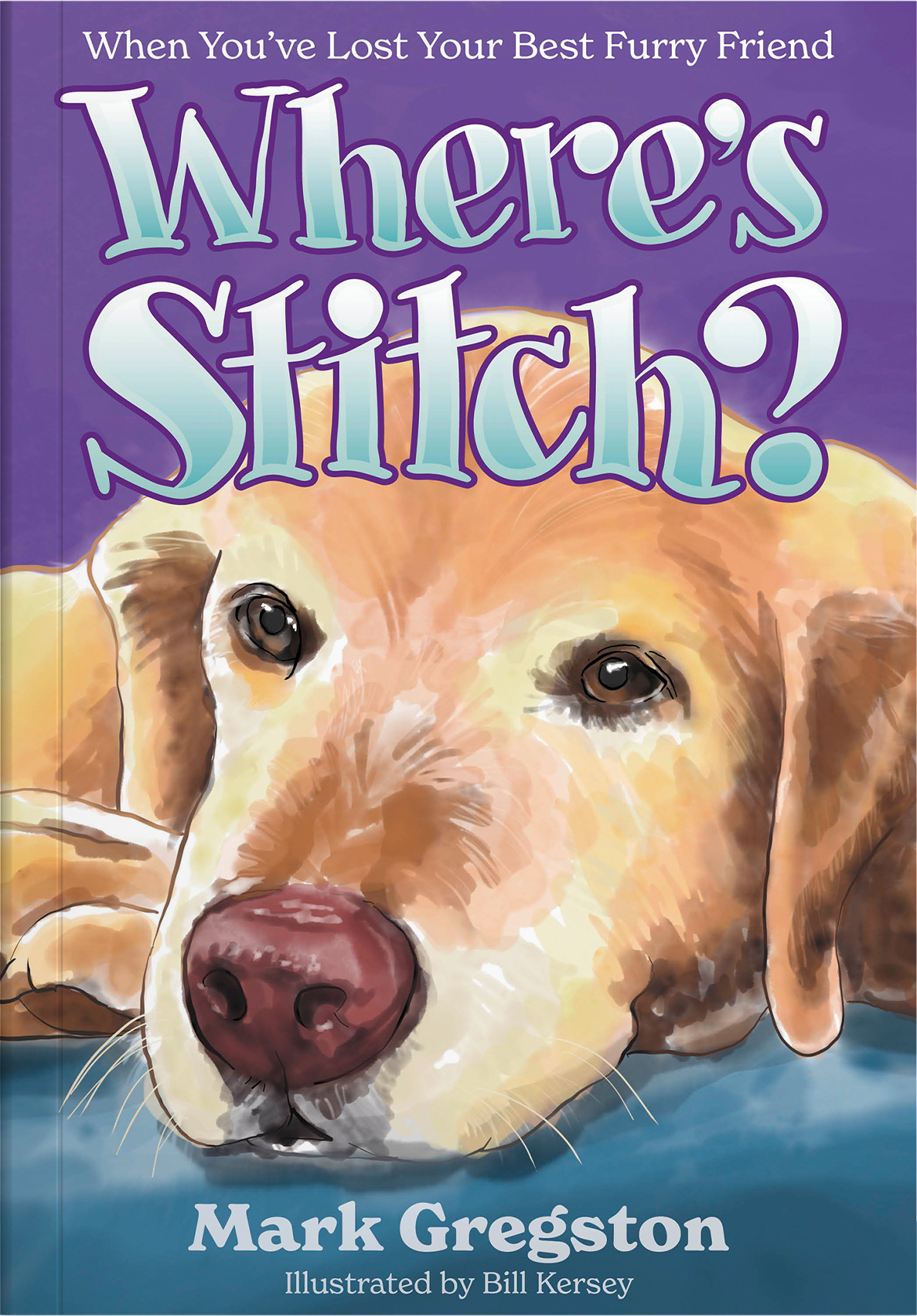 WheresStitch